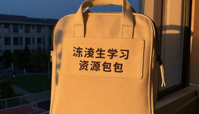 学习支持服务选型关注点：两种做法的取舍分析